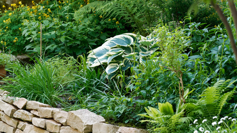 a lush green landscaping bed with a rustic stone retaining wall