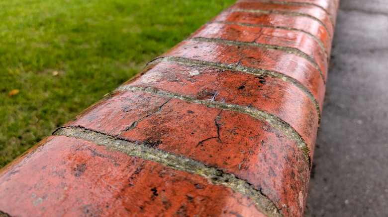 Capping row of red bullnosed bricks