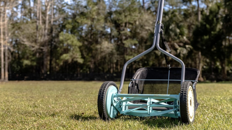 A mint green lawn mower with a mesh grass catcher bag attached.