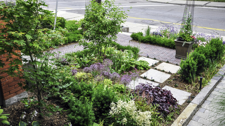 An urban front yard turned into a garden instead of a lawn.