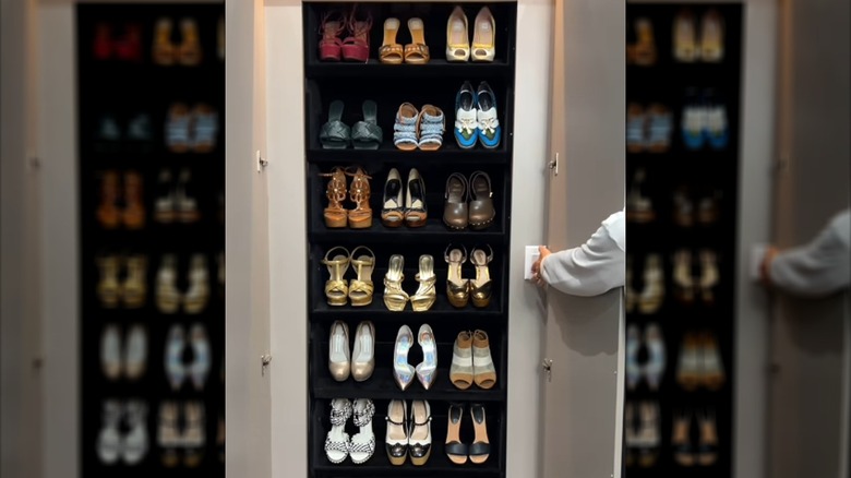A clear-doored closet feature with revolving shoe rack behind it