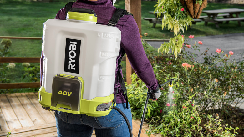 Person spraying plants with Ryobi backpack chemical sprayer