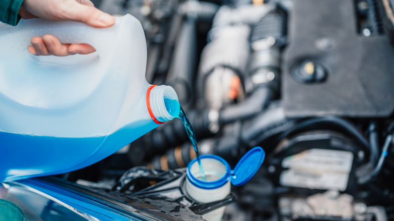 Person adding antifreeze to car