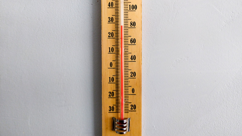 Wooden back thermometer 