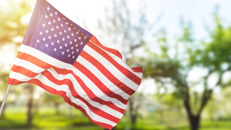 American flag on thin flag pole 