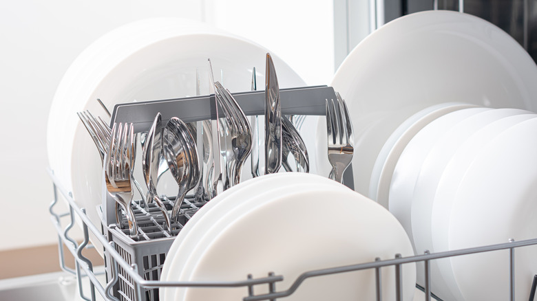 Plates and silverware in dishwasher