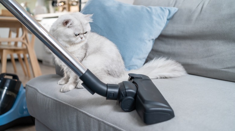 Person vacuuming cloth couch