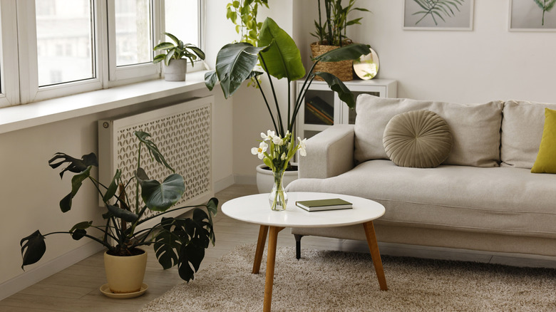 A modern living room with plants set up in a calming way