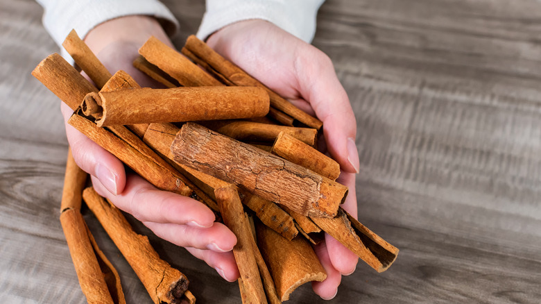 woman holds cinnamon sticks