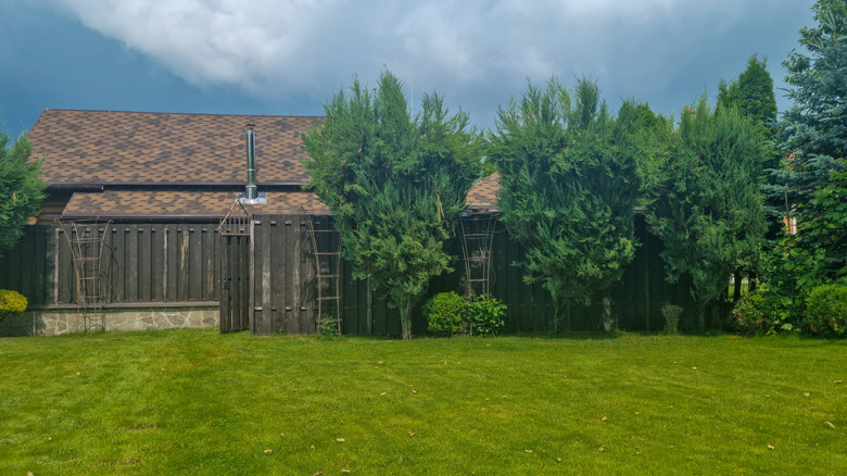 a private backyard with wooden fence, evergreen trees and green lawn near residential house