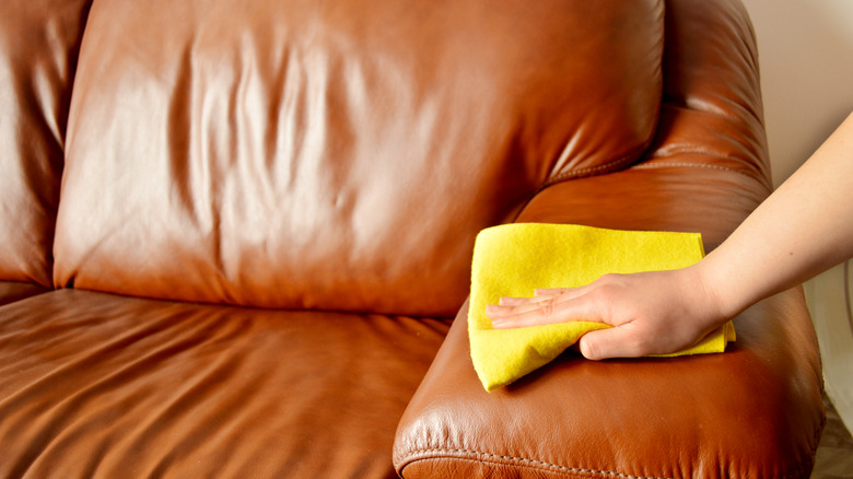 Person cleaning a leather sofa