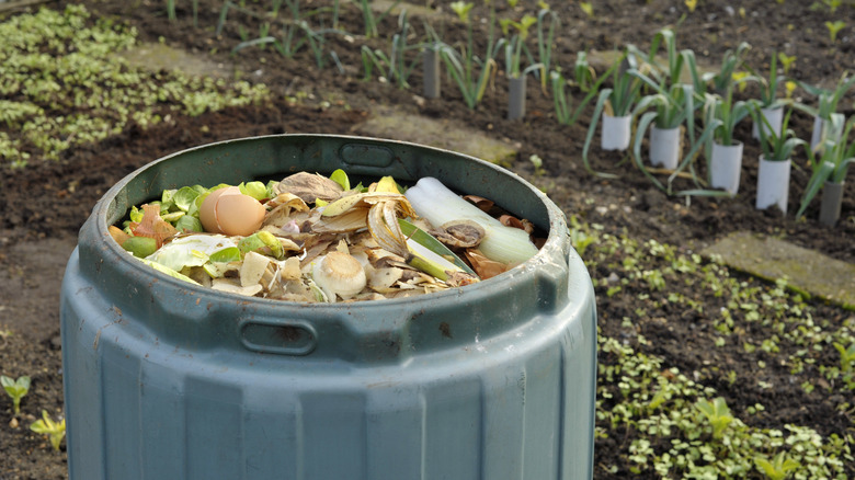 Garden compost bin full of food scraps