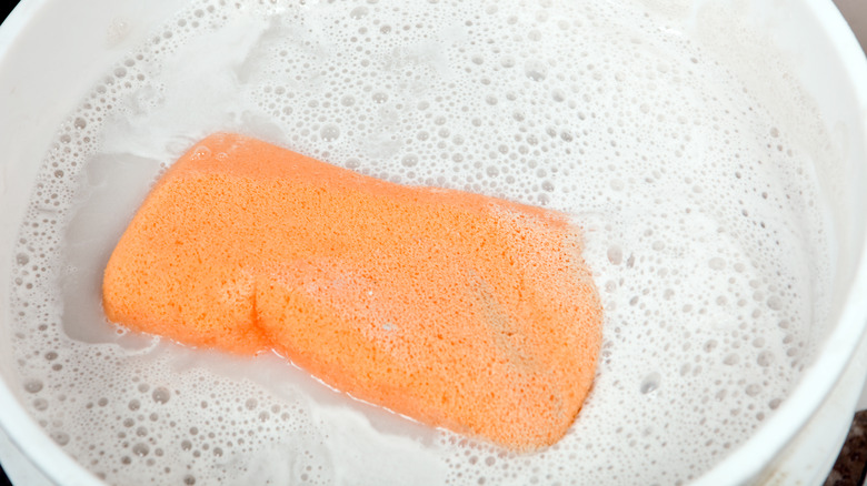 Sponge soaking in dish