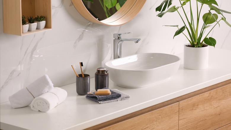 bathroom vanity with plants