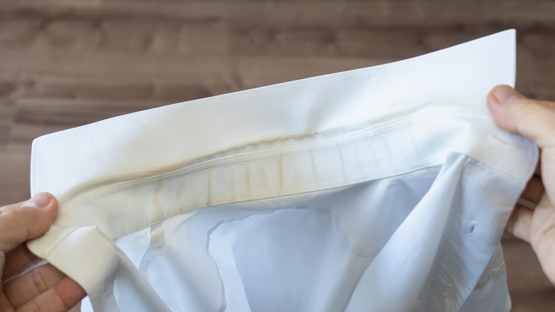 person inspecting sweat-stained shirt collar