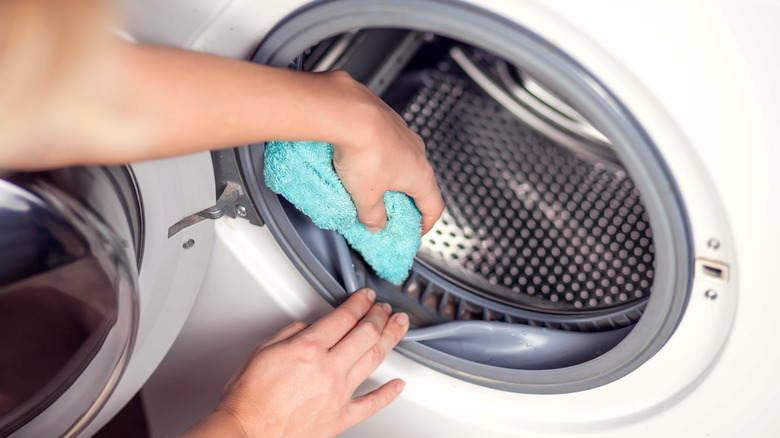 person cleaning washing machine