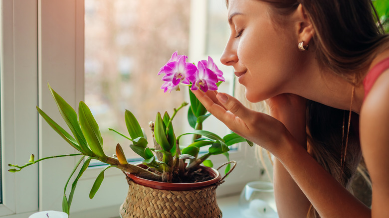 Woman with orchid plant