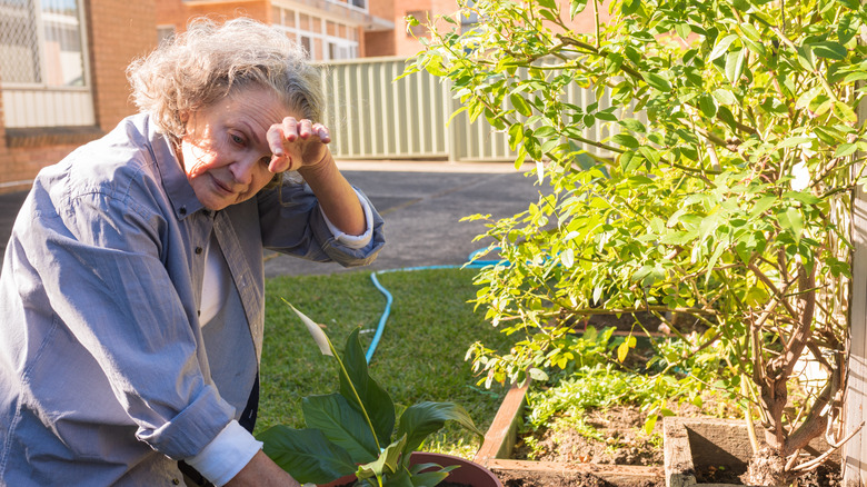 The Self-Seeding Flower You May Want To Avoid In Your Warm Climate Garden