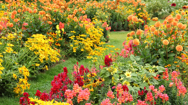 A garden with red flowers and orange marigolds
