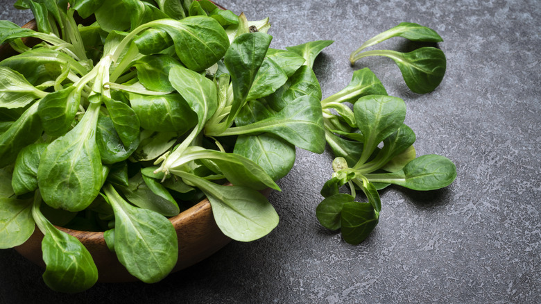 Corn salad leaves in a wood bowl, spilling out onto a gray countertop