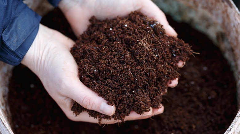 Handful of garden soil