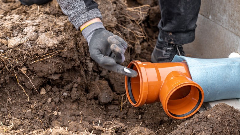 Person pointing to a problem with a sewer line