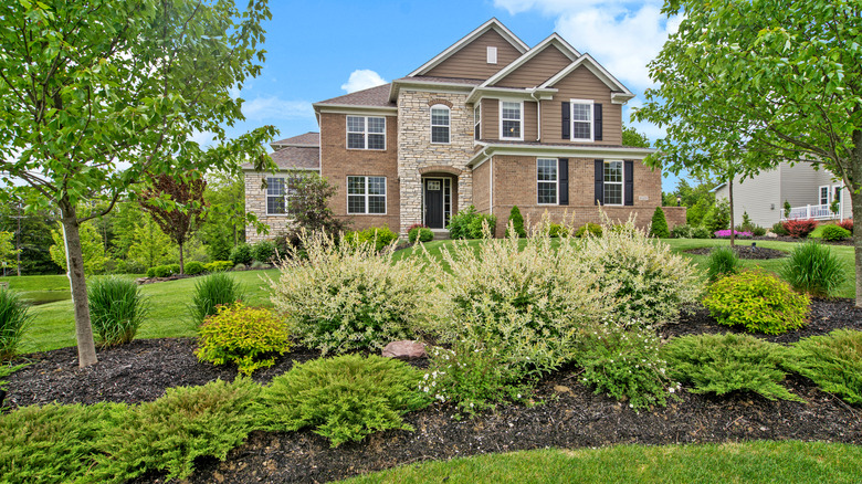 House with a sloped garden bed