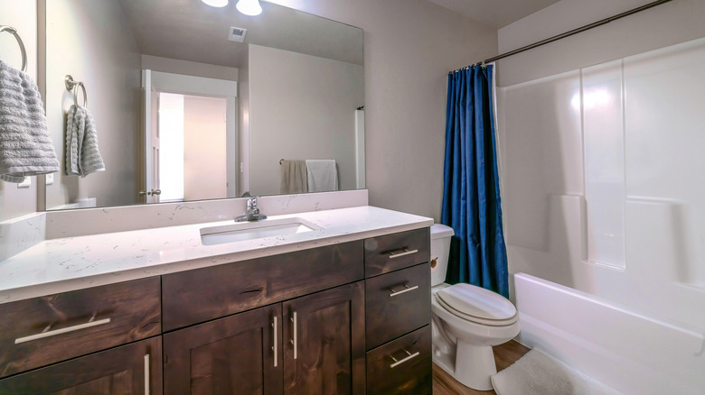 Bathroom with shower curtain