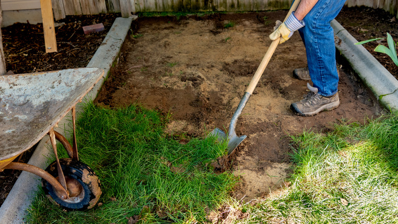 Landscaper removing grass from yard with shovel.