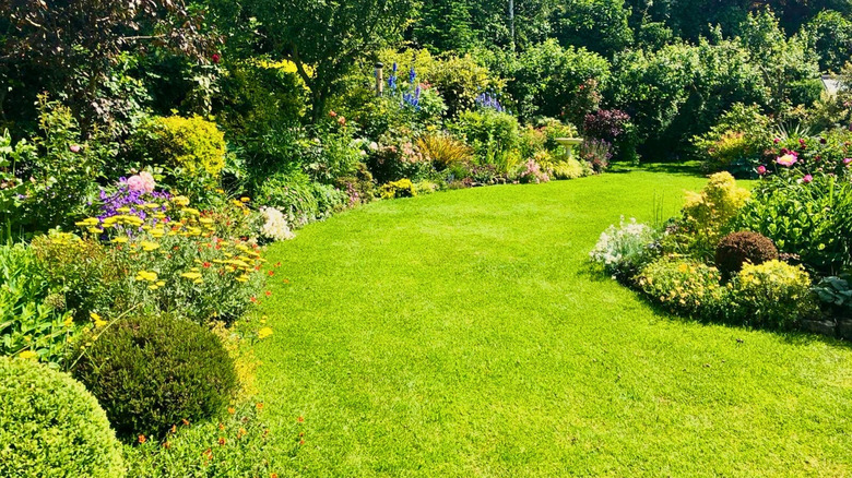 A large garden filled with plants and shrubs with a grass lawn.