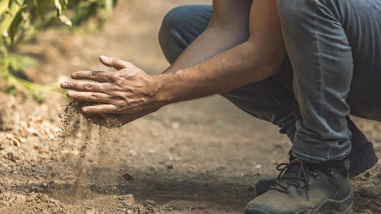 A person is crouching down on the ground, running soil through their hands.