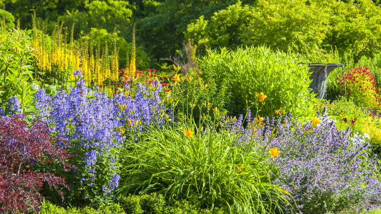 A pretty garden with lots of flowers to attract pollinators