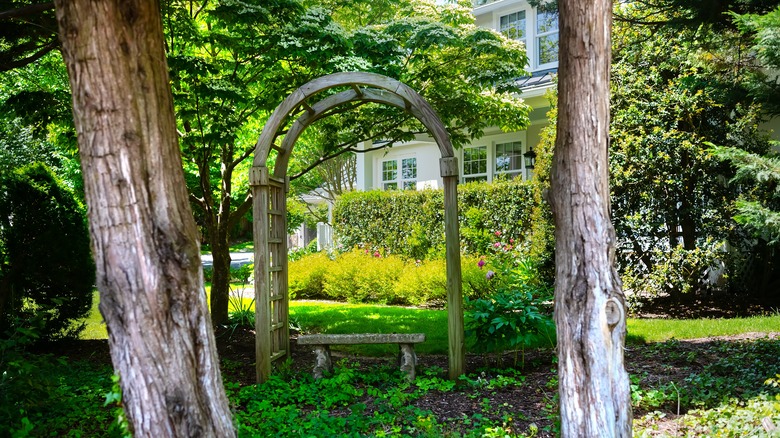 pergola in a shaded yard