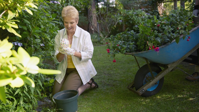 woman putting on gardening gloves