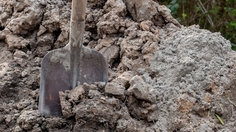 shovel in clay soil heap
