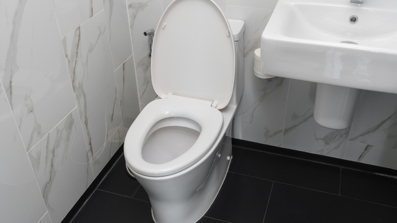 A white toilet bowl on black flooring