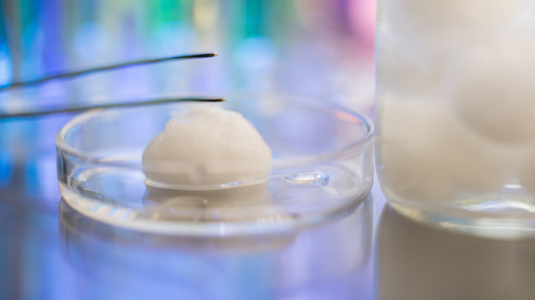 Cotton ball in peppermint oil