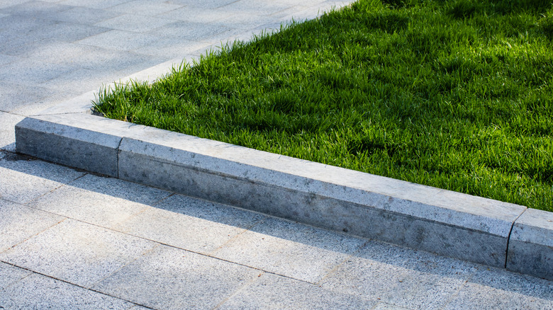 Green lawn and driveway separated by a concrete curb