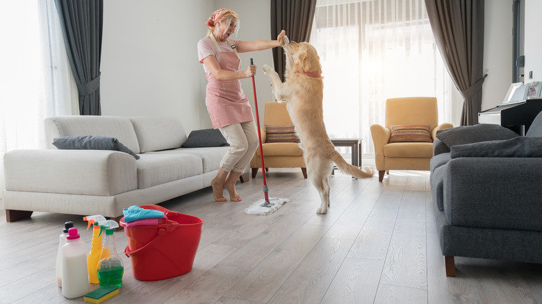 Woman mops with dog