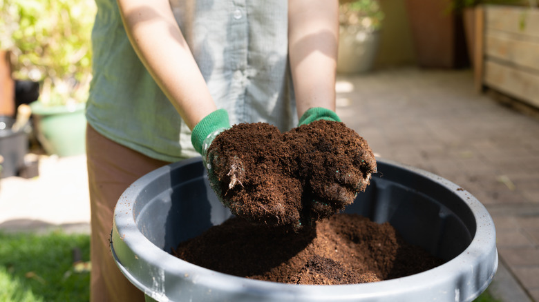 Person holding two handfuls of container soil