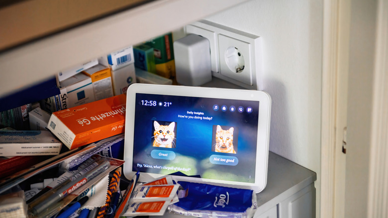 Alexa screen on counter