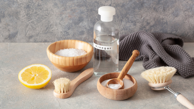 Vinegar, salt, a slice of lemon, some cleaning brushes, and a cleaning cloth