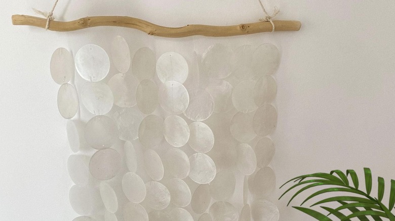 Shell wall art against white backdrop