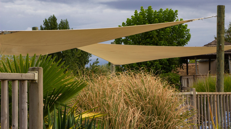 Shade sails over garden plants