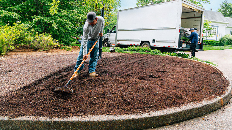 Someone spreading organic material over soil in a yard