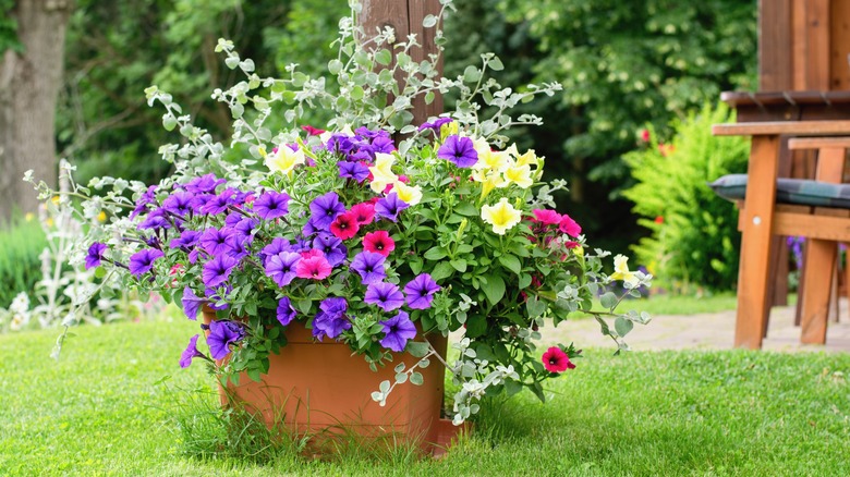 lush container garden
