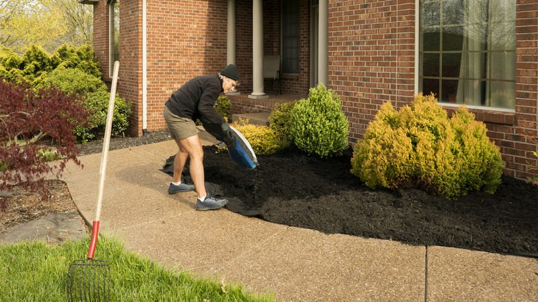 Person pouring a bag of mulch onto a garden bed outside their home.