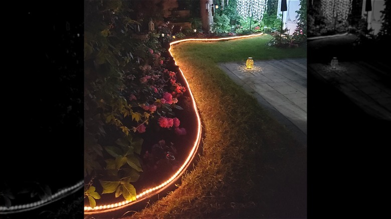 Garden bed with rope lighting border illuminated at night