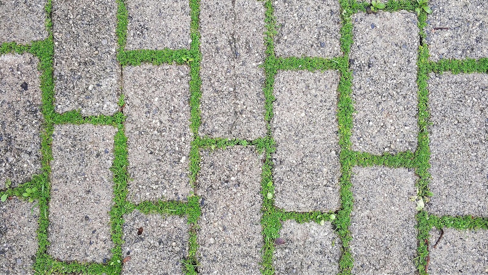 Clean Paving Slabs