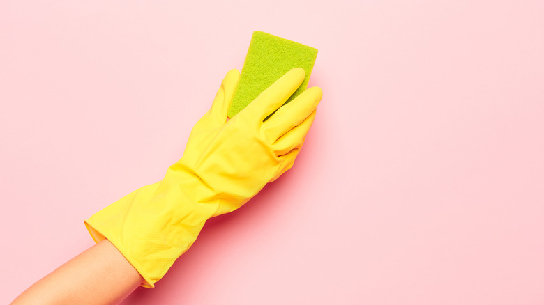 A gloved hand holds a sponge to a pink painted wall